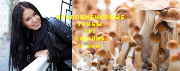 индика Верхний Тагил