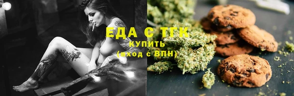 индика Верхний Тагил