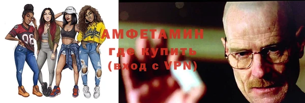 индика Верхний Тагил