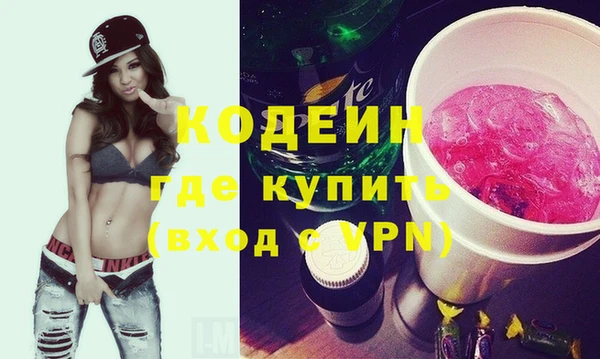 индика Верхний Тагил