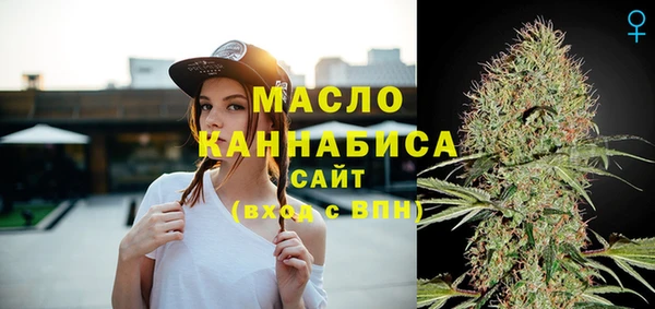 индика Верхний Тагил