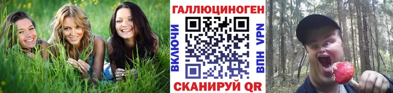 Псилоцибиновые грибы Psilocybine cubensis  Сургут 